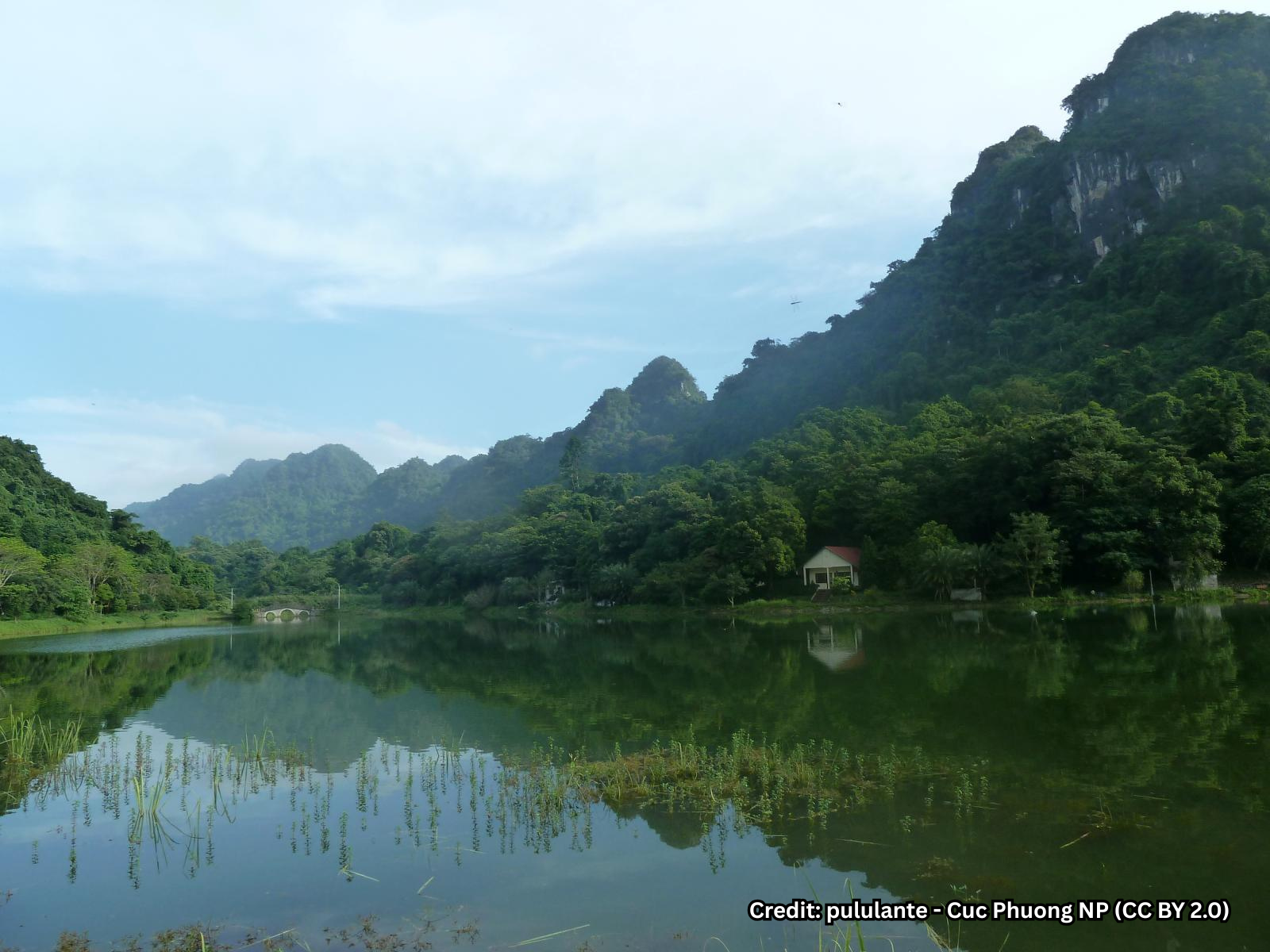 Vườn Quốc Gia Cúc Phương